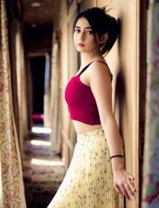 Call Girls Pallipattu