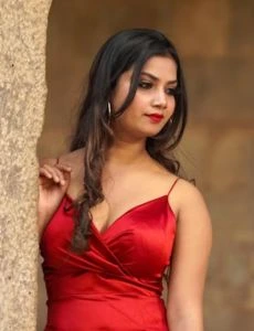 call girl service in Pallipattu